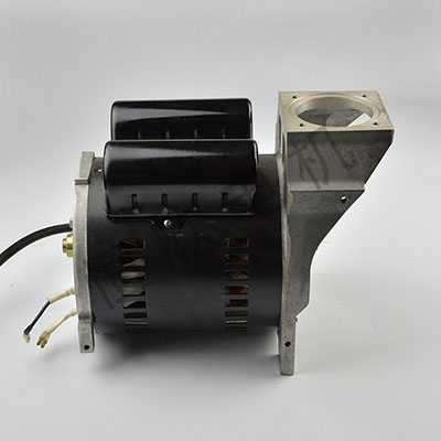 YL系列双值电容单相电机 HX-052